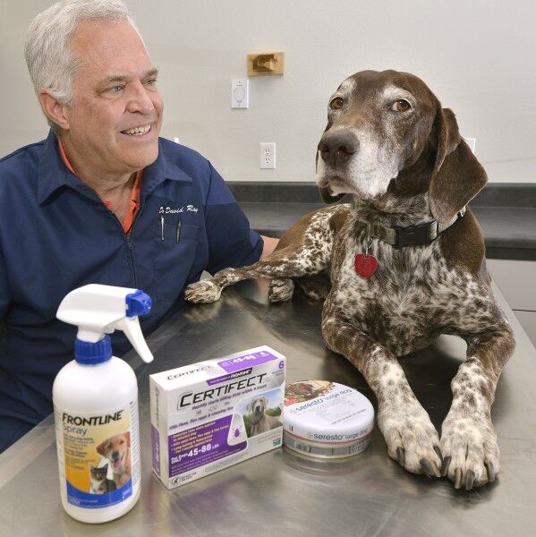 Pets tick season